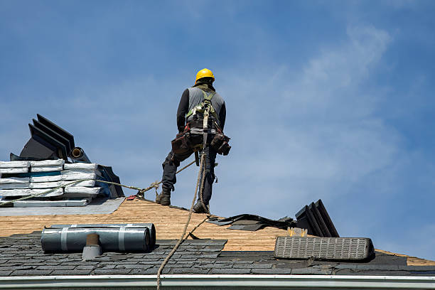 Professional Roof Replacement technician working in Dazey, ND